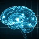 Sinapse