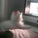 ୨୧ My Sweet Piano Discord server icon