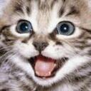   D1g1t4lCAT's Discord   Discord Server Icon