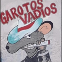 Garotos Vadios