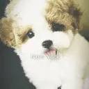 isa's autistic strip club Discord Server Icon