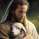 The Lost Sheep Ministries
