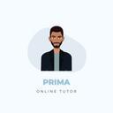 Prima Online Tutoring Services Discord Server Icon