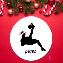 Virtual World Super League|VWSL