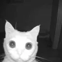 Hypnosis squad discord icon