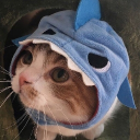 ✦₊˚｡⋆𝑩𝒖𝒃𝒃𝒍⋆₊˚.✧