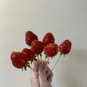 🍓      strawberry    ⸝  world    .    social