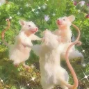 🐀 Silver's Rattenfamily 🐀