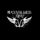 BVB Army