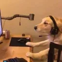 Beau's server