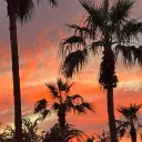 In Vibes We Trust Discord Server Icon