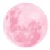  ̊    pink .ೃ࿐ Discord Server Icon
