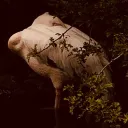 𝐇𝐀𝐔𝐒 𝐎𝐅 𝐘𝐈𝐍's icon