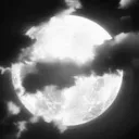 ⛧°。 ⋆༺ 𝕷𝖚𝖕𝖚𝖘 𝕲𝖆𝖑𝖆𝖝𝖞 ༻⋆。 °⛧