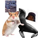 Gamer's Organized Chaos Discord server icon