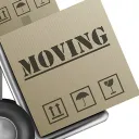 The Defiant Phoenix's icon