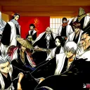 Gotei 13 (Unofficial)