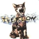 The Flow