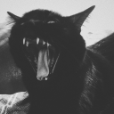 ScArS ރ /dead Discord server icon