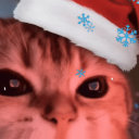 Discovery icon for 💞Kociaki Discord server