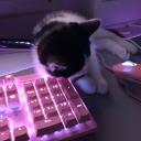 /winter | social • date • vc