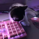 /winter | social • date • vc's icon