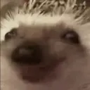 Blondies Discord Server Icon