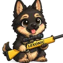 Lexi's server