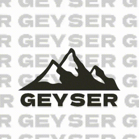 Geyser Project — мониторинг Discord сервера, статистика и рейтинг