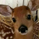 💚 Lucky's Lounge 💚