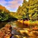 Desperate Leaking Bladders 18+ 💛💦's icon