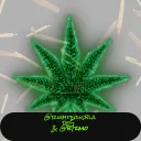 Cannabis Cafe
