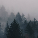 tartarus Discord server icon