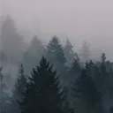 tartarus