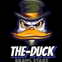 TheDuck Brawl