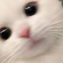 Mooshmash lps and W!ck! sticks lps fan club !!! Discord Server Icon