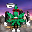 E's Evergreen