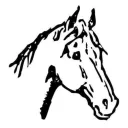 🐴ПЕДАЛЬНЫЙ СКВАД✅