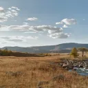 Mongoliacord