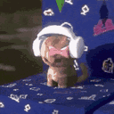 ⋆˙⊹ ࣪ ˖⋆˙⟡