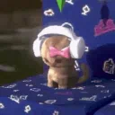 ⋆˙⊹ ࣪ ˖⋆˙⟡