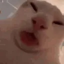 Hun