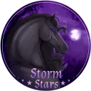 Storm Stars OS ⊹ ࣪ ˖ Discord Server Icon