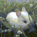 /burrow  —  うさぎの巣 Discord server icon