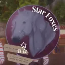 ✰ STAR FOXES ✰ The Constellation's icon