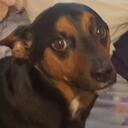 Reese Nation Discord Server Icon