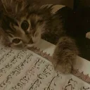 Tawheed Or Trinity