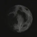 Tenebrae