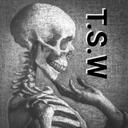 The Silent War 1942 Discord Server Icon