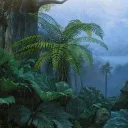 av portfolio jungle